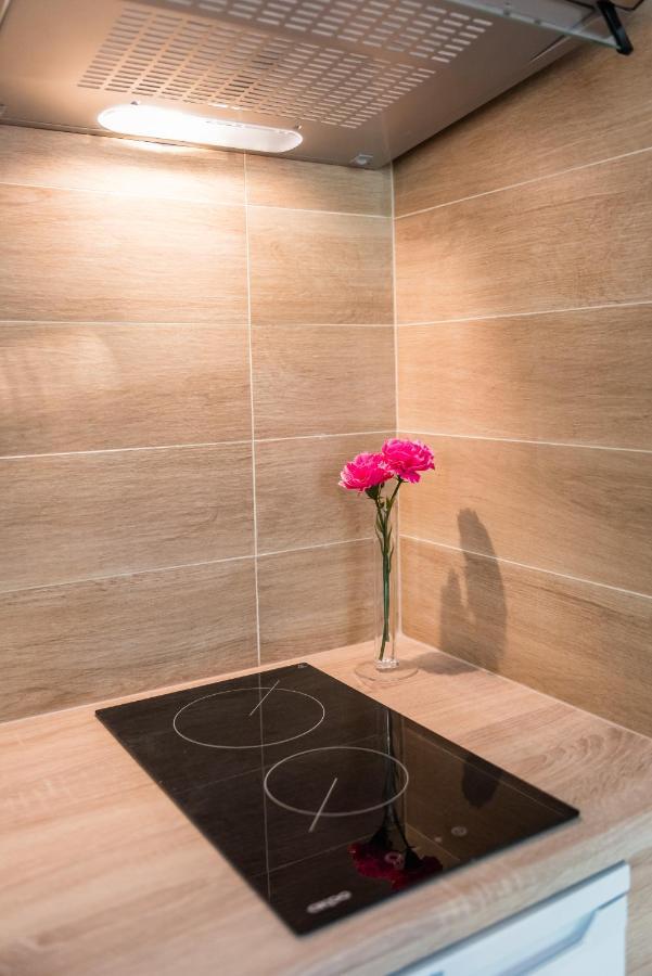 Zelazna Apartment Wawelofts 克拉科夫 外观 照片